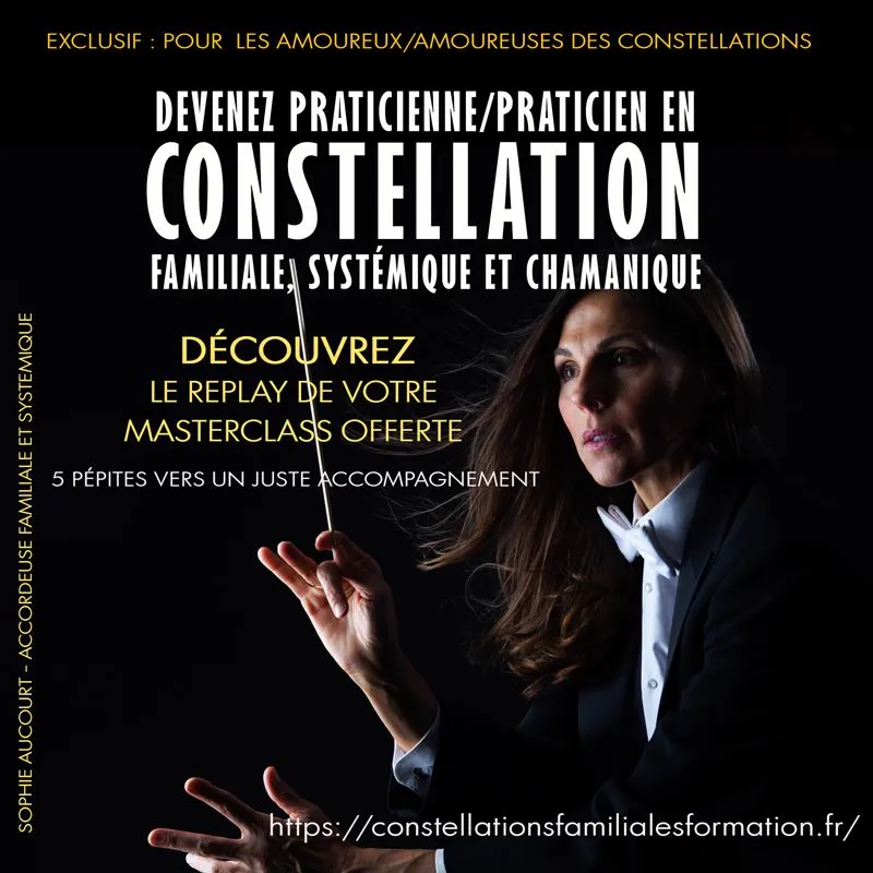 Formation constellations familiales systémiques et chamaniques